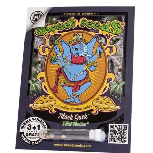 SWEET SEEDS BLACK JACK F1 FAST VERSION 3 1 SEMILLA