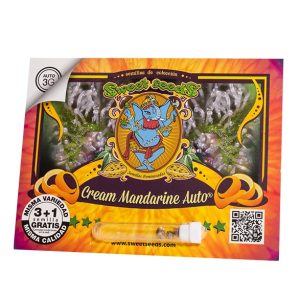 SWEET SEEDS CREAM MANDARINE AUTO 3 1 SEMILLAS